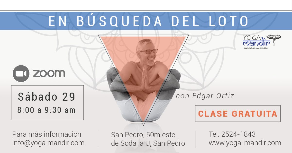 En búsqueda del Loto